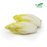 Frischer BIO-Chicorée (ca. 0,50 kg)